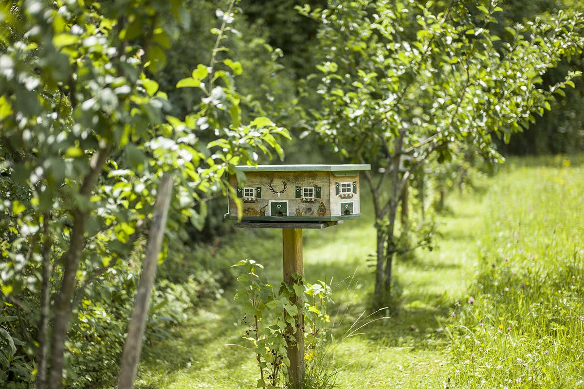 Bienenweg Thiersee, ph. Hannes Dabernig&nbsp; Dall&rsquo;Alto Adige alla Puglia una vacanza alla scoperta delle api